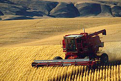 combineharvester.jpg