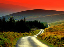 winding-road